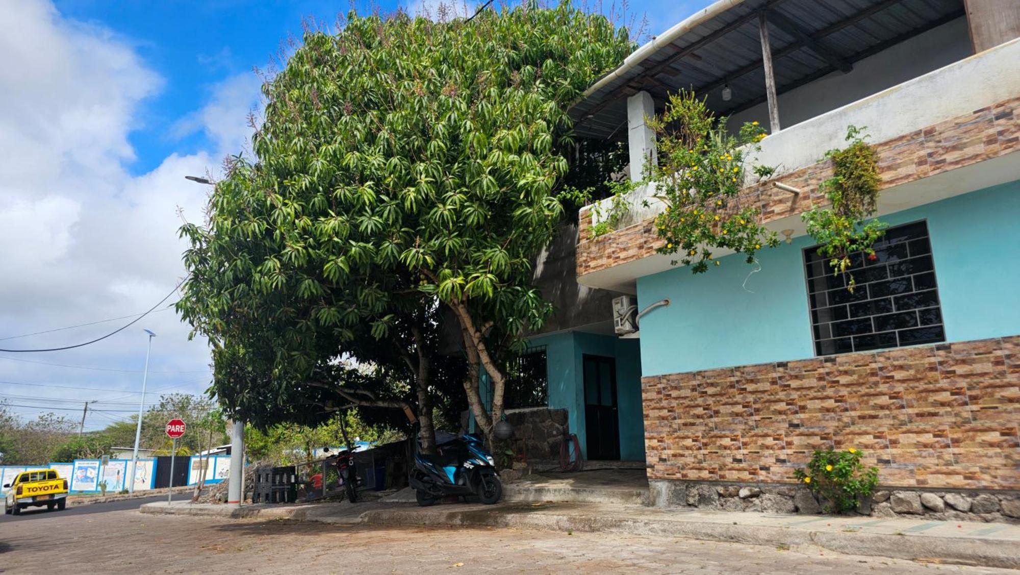 Flor'S House Appartement San Cristóbal Buitenkant foto